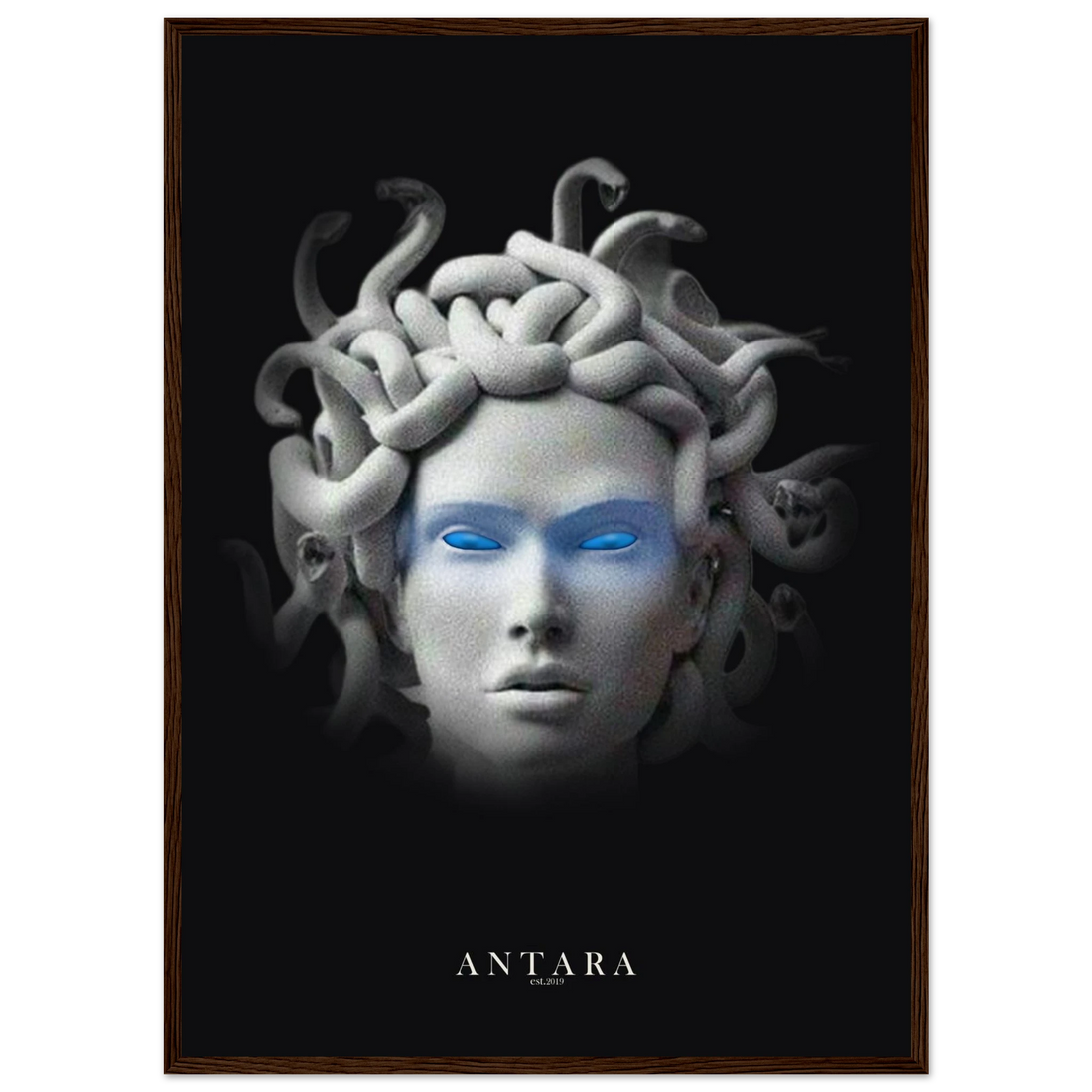 The Gorgon's Gaze Framed Print