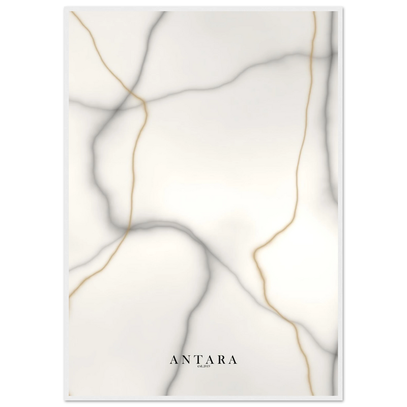Parian Marble Framed Print