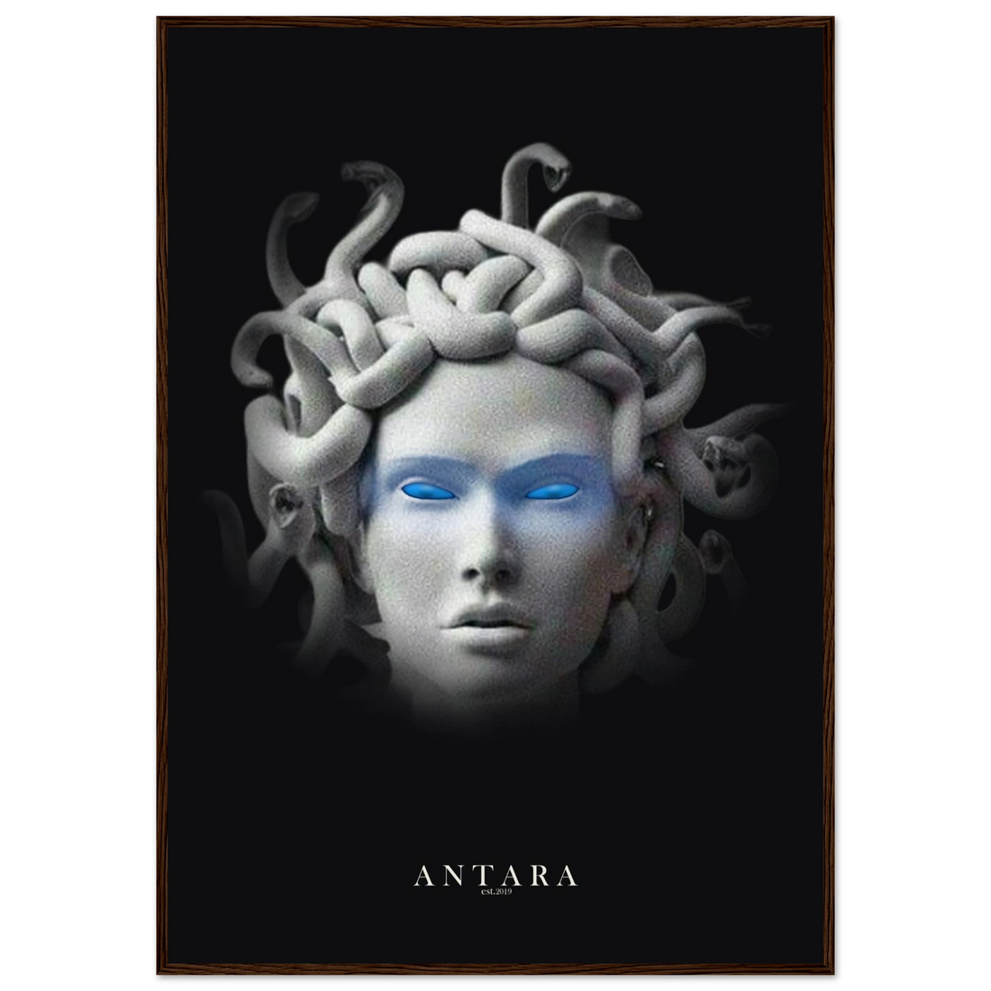 The Gorgon's Gaze Framed Print