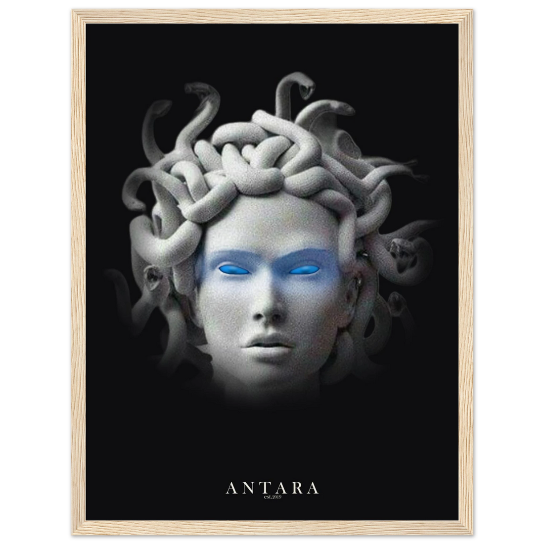 The Gorgon's Gaze Framed Print