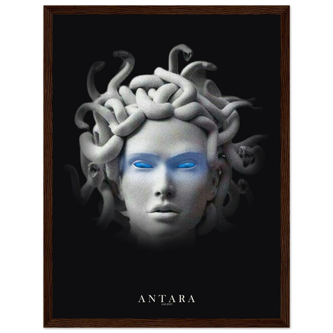 The Gorgon's Gaze Framed Print